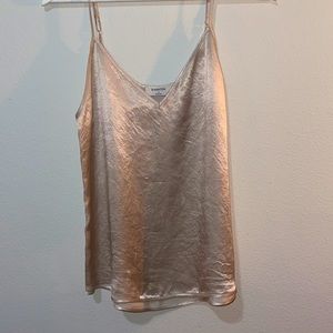 ARITZIA silk champagne blouse